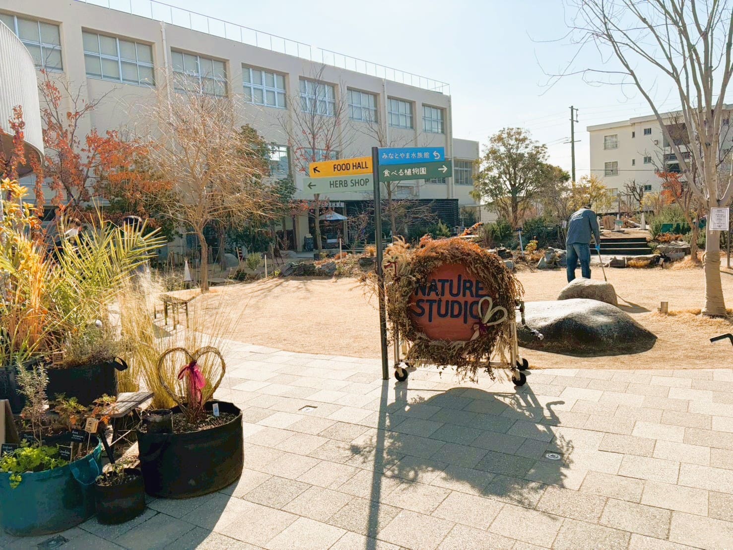 ギャラリー画像